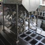 Auto Thermoforming Vacuum Packing Machine Complete Sachet Packaging Line