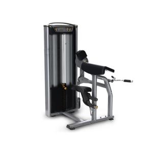 China Commercial Gym Matrix Strength Training Equipment / Biceps Curl Machine factory