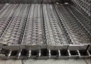 China CE Sus 304 Chain Mesh Conveyor Belt Pineapple Washing factory