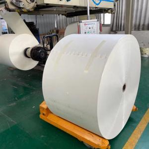 China 150gsm+15g PE Paper Roll 130cm Paper Tea Cup Raw Material factory