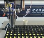 Electric Driven Type Polyurethane Dispensing System for Vertical Installation