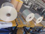 Transparent and Metallized Film for Greenhouse Purpose Blow Molding Processing