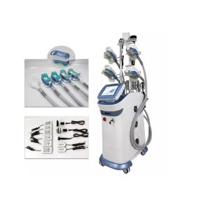 China 40k 5 Handle Vacuum Slimming Machine , Multifunction Cryolipolysis Machine factory