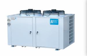 China U Cabin Type Freezer Room Condensing Unit Cold Storage Cooling Unit R22 Refrigerant factory