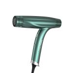 Foldable Brushless Hair Dryer High Speed Salon Brushless DC Negative Ion Hair