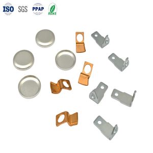 ISO9001 and IATF16949 Certified Bearing Retainer Stamping Parts with 100%