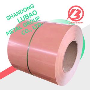 China 914/1219/2438mm Ral color PPGI color coated steel coil for profiled tile roof structure rolling shutter door 0.45/0.5/0.6mm factory