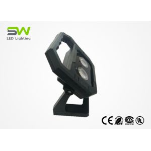 China 20W Handheld LED Work Light Portable Site Light Powered By AC &amp; DC Source factory