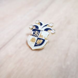 Exclusive Design Soft Enamel Colors with Epoxy Coated Carnival Metal Lapel Pin