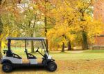 Big Tyre Four Passenger Golf Cart , Electric Motor Golf Cart For Club