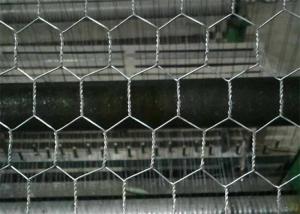 China Electro Galvanized After Weaving Hexagonal Chicken Wire Mesh Netting factory