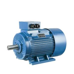 China Stator Slip Ring And Squirrel Cage Induction Motor 3 Phase 2 Pole 4 Pole factory