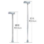 Walking Stick Cane