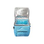 Green Soft Side Cooler 15L Injection Cooler Bag For Blood Transportation