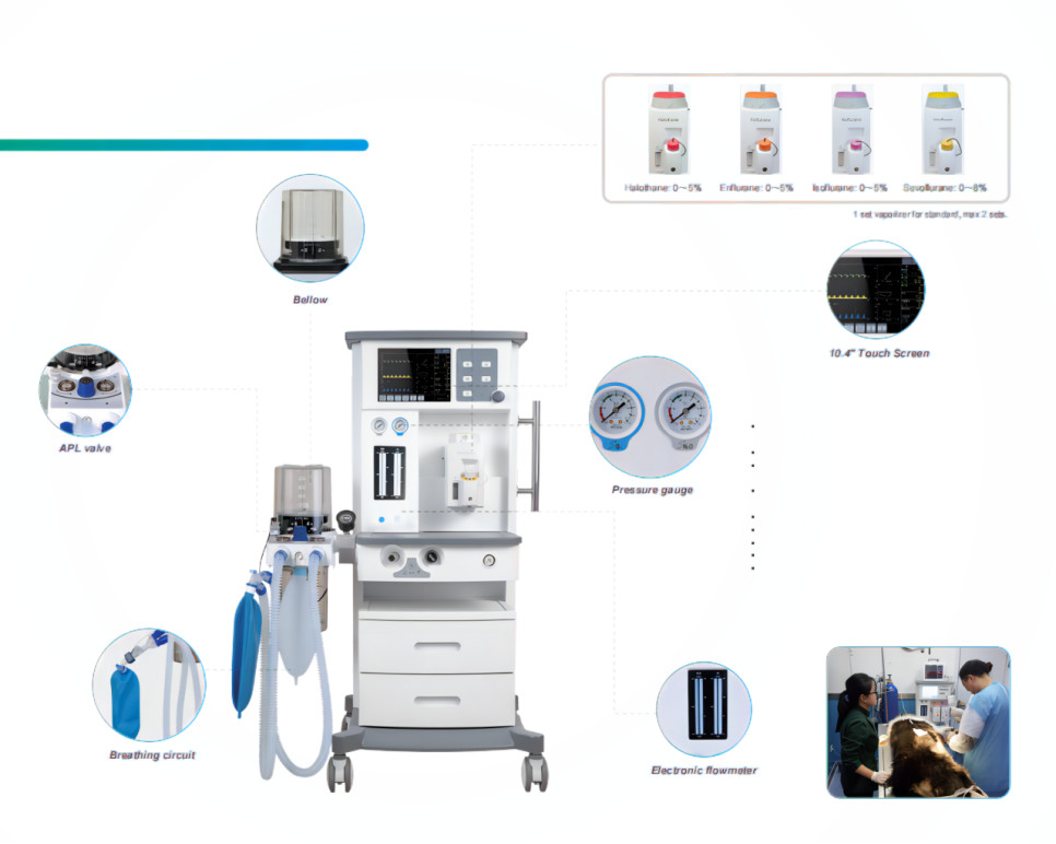 10.4" Touch Screen Display Veterinary Animal Anesthesia Machine Real time detection DM6A