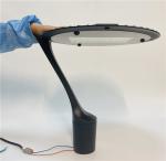 High Power 80W 100W Led Garden Lights CE Approved Outdoor Urban Lighting IP65