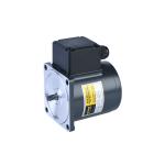 Brake Type Induction Electric Motor 6rk120w 104mm CE UL Certificate