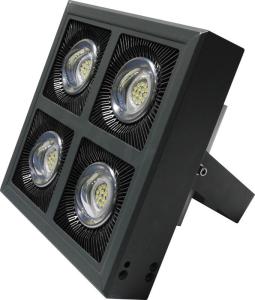 China AC265V Exterior LED Pole Lights Pole Mounted Flood Lights 110lm/ W CRI70 factory