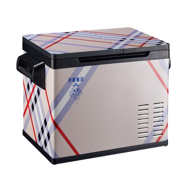 Car Freezer Fridge Portable Lp-55GB Beauty Car Mini Cool Fridge with R134a
