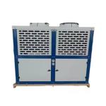 Commercial Air Cooled Freezer Unit Bitzer Refrigerator Automatic Core Motor Pump