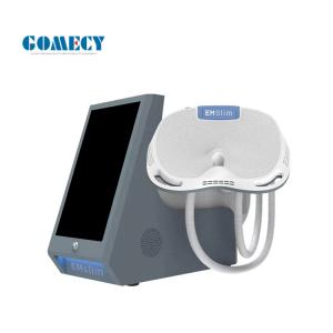 China 2800W Electric Pulse Muscle Stimulator 100HZ Fat Slimming Device For Body Shaping Center factory
