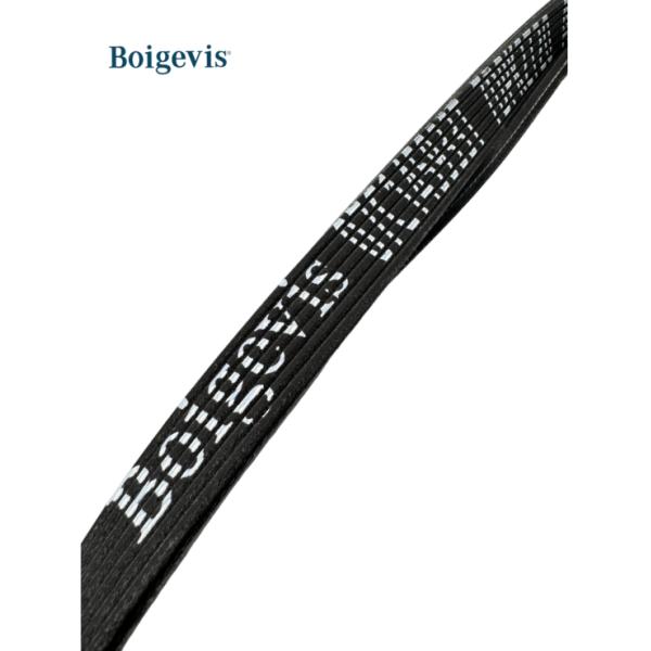 07C145933T Gtc & Flying Spur Serpentine V Belt for Bentley Continental Gt