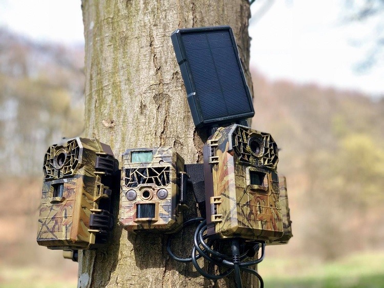 Infrared IR LED Time Lapse Hunting Trail Camera 10MP AA Batteries