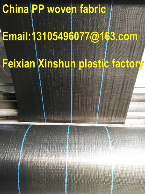 100% PP agricultural mulch film /weed barrier/pp weed control mat/ weed stop pp ground cover
