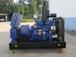 CE/ISO Certified 10kw 15kw 22kw Small Biogas Gas Electricity Generator