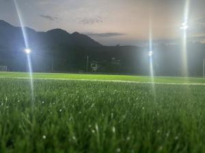 China 55mm Height Artificial Grass Turf Football Synthetic Grass Wear Resistant factory