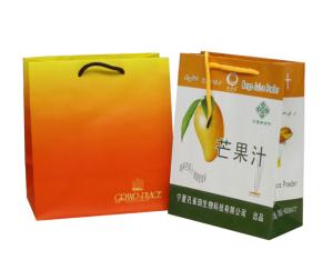 China Small Paper Carrier Bag With Foil Hot Stamp Logo for Advertising factory