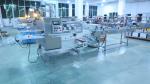 230mm Width Zigzag Cutter Horizontal Flow Wrap Machine Belt Infeed Conveyor Film