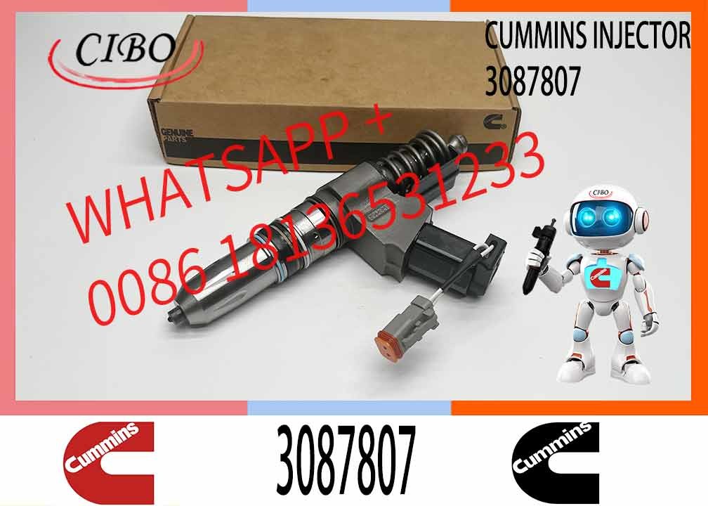 Common Rail Diesel Fuel Injector 3411764 3087733 3087807 For Cummins QSN14 N14