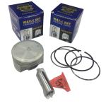N9325310 Alloy Moto Engine Piston Kit For TVS APACHE RTR 200 4V