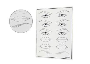 China Permanent Fake Eyes / Eyebrows / Lips Tattoo Practice Skin 19*14.3*0.1CM Size factory