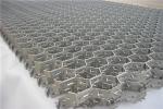 Hexsteel Hex Mesh as Wear Resistant Linings for Balling Disc supplier
