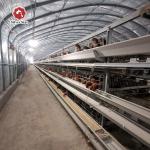 5 Layers Hot Dipped Galvanized Chicken Cage Battery Cage System
