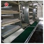 H Type Automatic Egg Layer Chicken Farm Cage Cold Galvanized