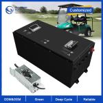 CLF 48V 51.2V 100AH/200AH Lithium Electric Golf Cart Battery 72AH/160AH 48 Volt