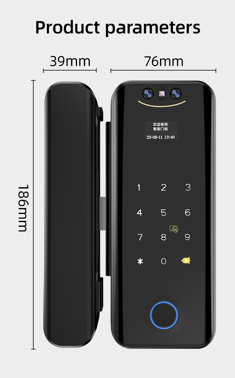 Tuya Face Recognition Glass Digital Fingerprint Password Card Key Door Lock For Home