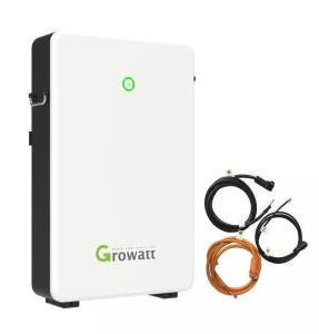 China 6.5kW LiFePO4 Lithium Battery With Built-in BMS Protection Growatt Battery GBLI6532 51.2v Battery factory