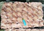 Block Frozen Illex Squid Wing / Argentina Squid Gmp Certification