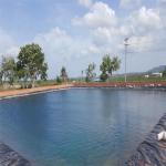 500 Microns Fish Pond Liner Geomembrane for HDPE Black Geomembrane 2mm Pond Pool