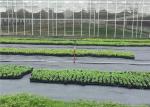Recycled PP Woven Weed Control Fabric Used In Industry Agriculture Garden
