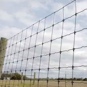 China High Strength Galvanized Fixed Knot Cattle Fence Metal Iron factory