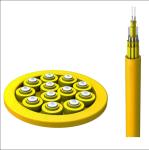 Distribution 24 Pair Fiber Optic Cable Singlemode G652D FRP Strength Member