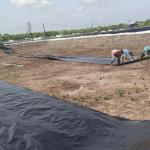 South Africa Dam Liner Industrial Design Style HDPE Geomembranes at Affordable