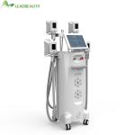 Cryolipolysis Beauty Salons Fastest Way To Lose Weight Body Fat Removal slimming