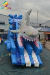 Shark Inflatable Water Park With Slide Durable Theme Water Park For Kids