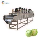 220V 380V Air Drying Machine For Fruit And Vegetable Food Potato Chips